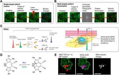 Chemical-imaging-guided optical manipulation of biomolecules